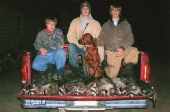 nollgreg profile photo