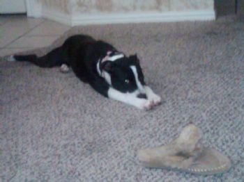 aprice16786 profile photo