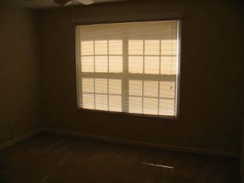 bgib2610 profile photo