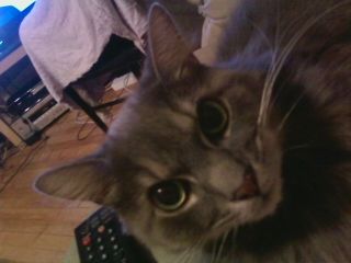 afewelements profile photo