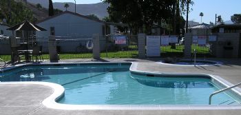 jamminguitar profile photo