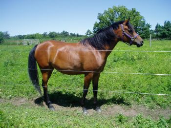 overdrive222 profile photo