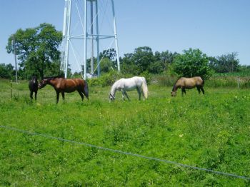 overdrive222 profile photo