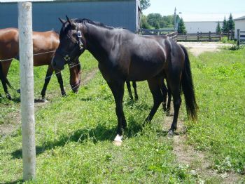 overdrive222 profile photo