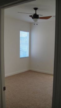 twitchis profile photo