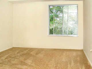 Aguinta profile photo