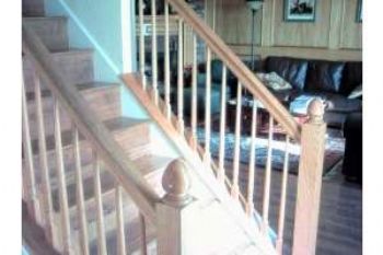 sastne profile photo