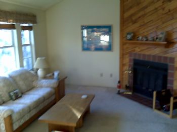 bcuster profile photo