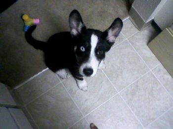 g_turner profile photo