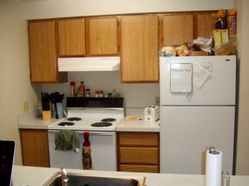 taylor88 profile photo