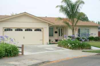 ldenevan1 profile photo