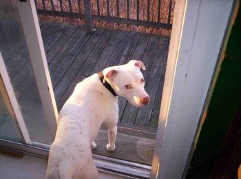 Kevin5058 profile photo