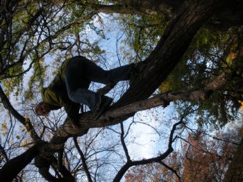 lsirkin profile photo