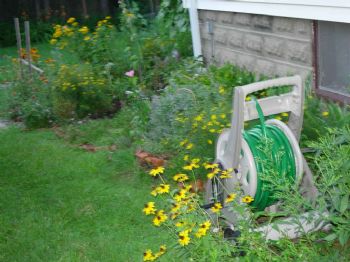 srivo10 profile photo