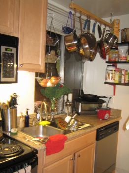 shellyj profile photo