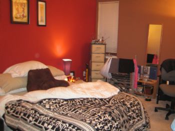 shellyj profile photo