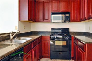 jadk82 profile photo