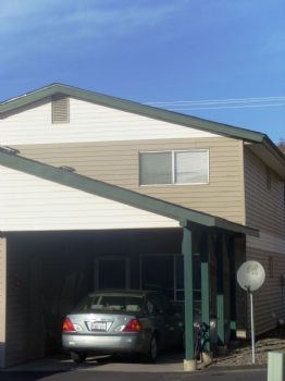 sampino12 profile photo