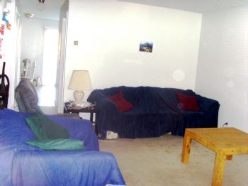 sampino12 profile photo