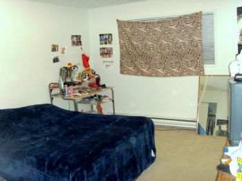 sampino12 profile photo