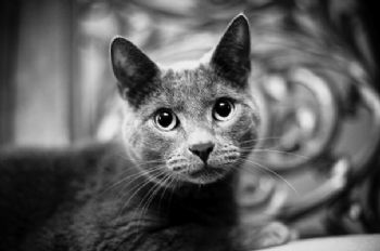 Kellie4God profile photo