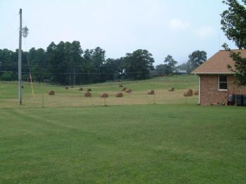 JC001975 profile photo