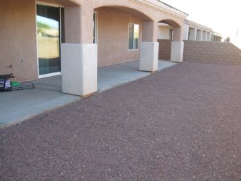 pelican411 profile photo