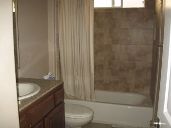 pelican411 profile photo