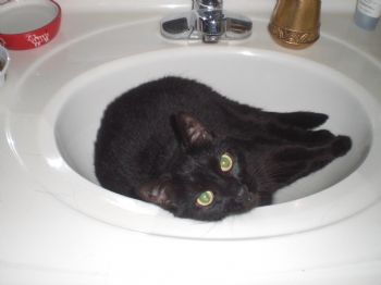 lmb1955 profile photo