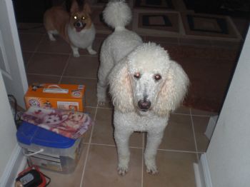 lmb1955 profile photo