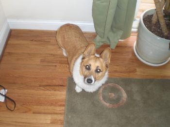 lmb1955 profile photo