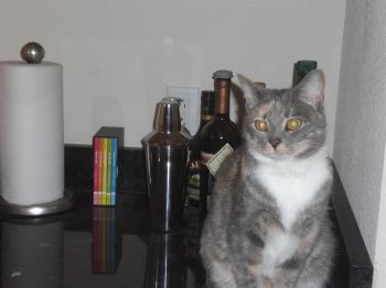 lmb1955 profile photo