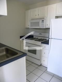 tsilv365 profile photo