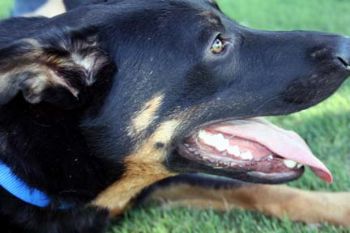 robynge11 profile photo