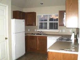 barrosa profile photo