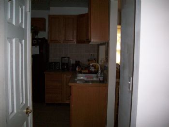 goseek profile photo