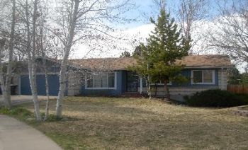 stingraymike profile photo