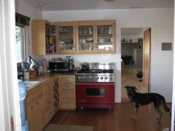 Ashorr profile photo