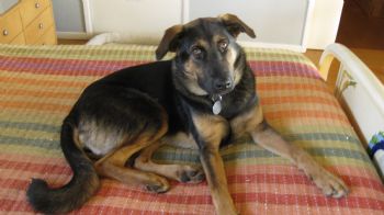 Ashorr profile photo