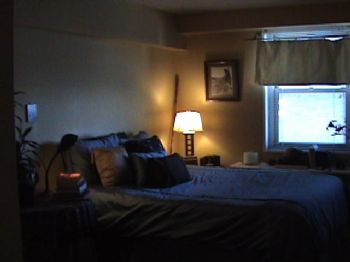 Lestine profile photo