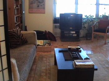 Lestine profile photo