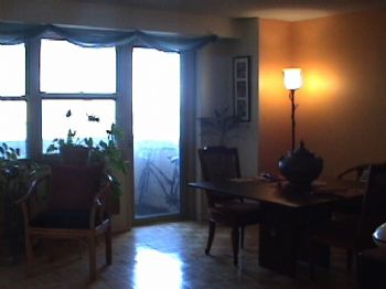 Lestine profile photo