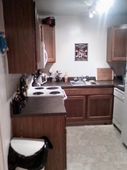 stevecrank profile photo