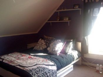 amconant profile photo