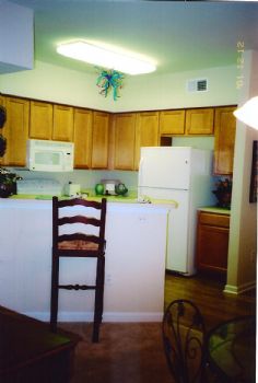 marypat28405 profile photo