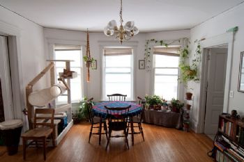 leafgr33n profile photo