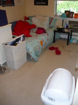 shabaztic profile photo