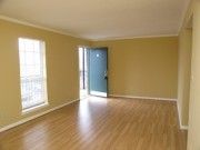 smcbride profile photo