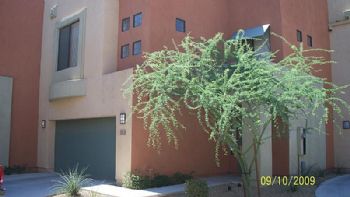 derek85 profile photo