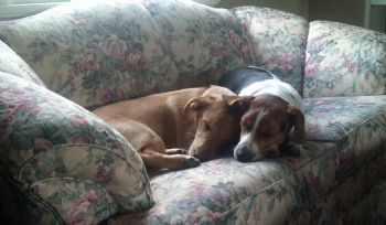 angelgaldb profile photo